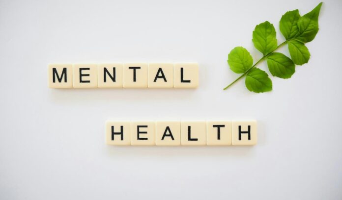 Kata kesehatan mental dieja dengan scrabbles di sebelah daun hijau